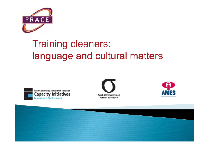 training cleaners language and cultural matters aim to