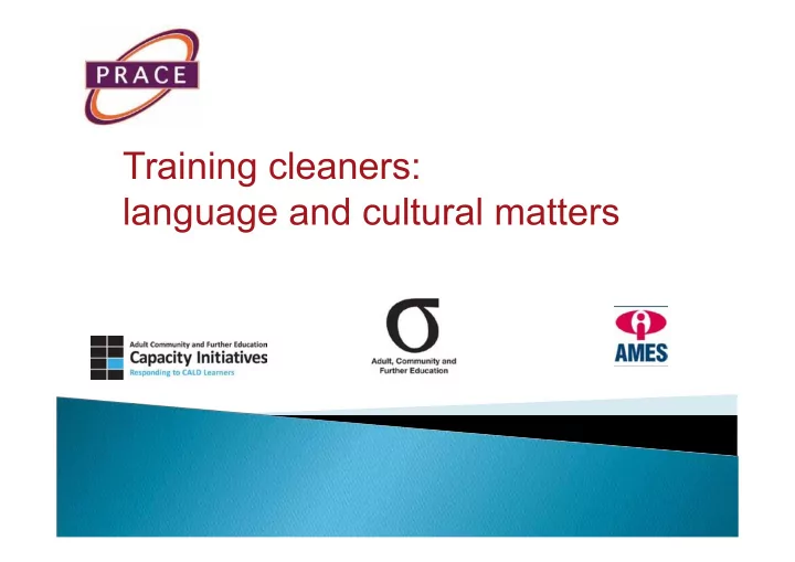 training cleaners language and cultural matters aim to