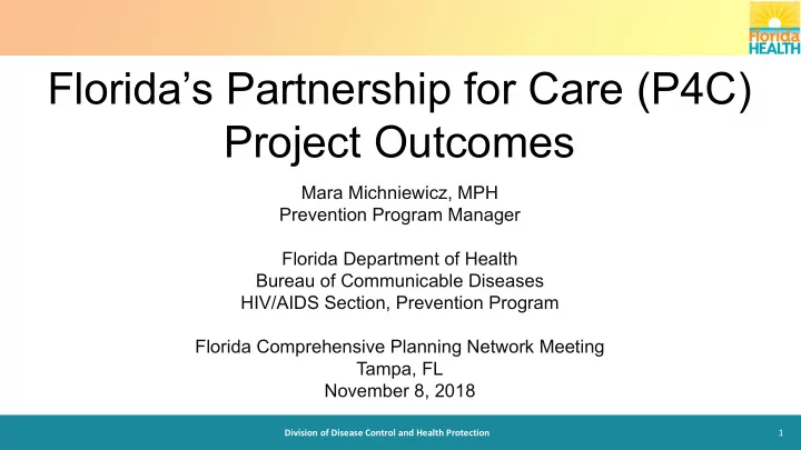 florida s partnership for care p4c project outcomes
