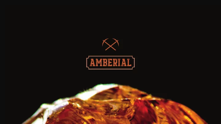 ukrainian stocks of amber take up the second place in the