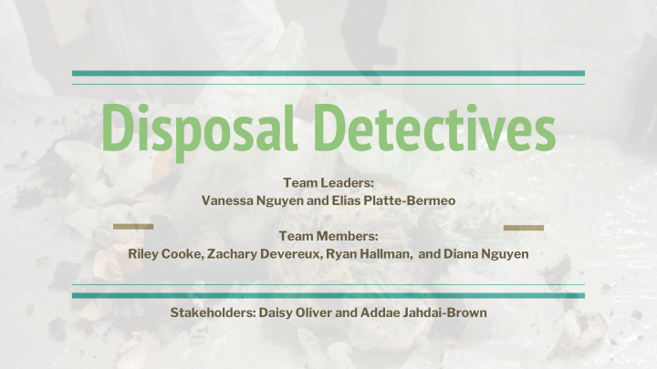 disposal detectives
