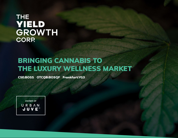 bringing cannabis to the luxury wellness market