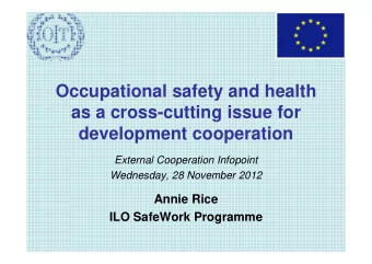 Occupational safety and health  as a cross-cutting issue for  development cooperation  External