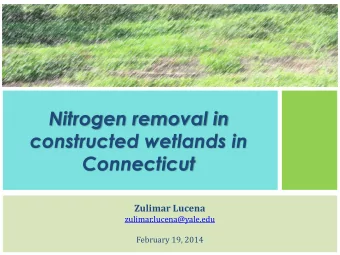 Nitrogen removal in  constructed wetlands in  Connecticut  Zulimar Lucena  zulimar.lucena@yale.edu