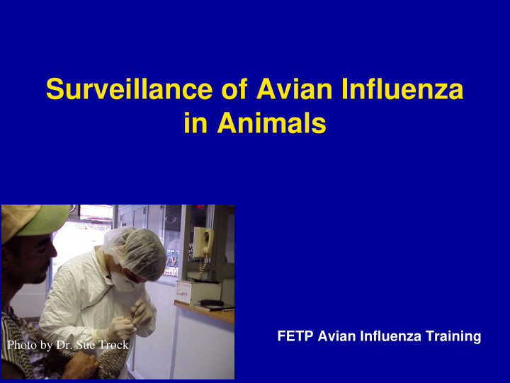 surveillance of avian influenza in animals