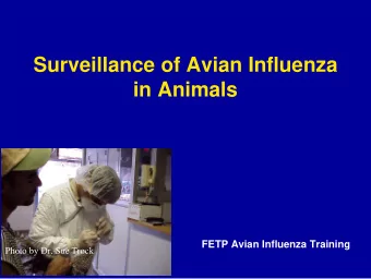 Surveillance of Avian Influenza  in Animals  FETP Avian Influenza Training  Photo by Dr. Sue Trock