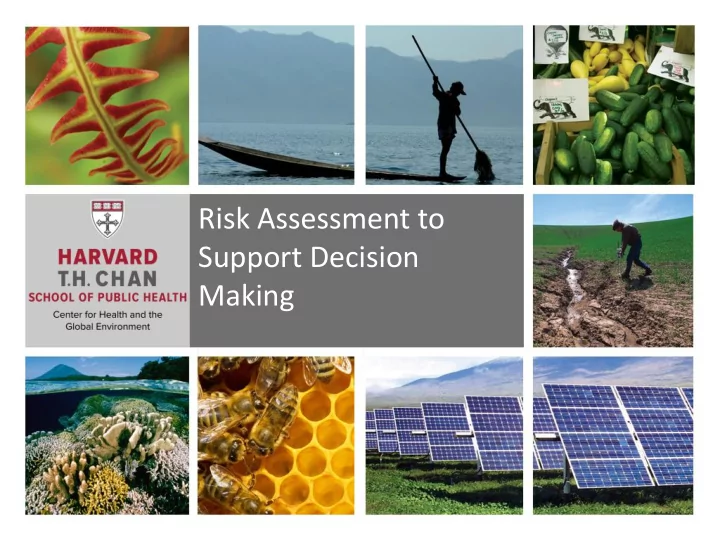 risk assessment to