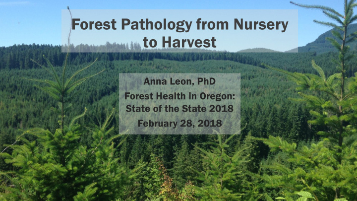 forest pathology from nursery