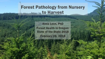 Forest Pathology from Nursery  to Harvest  Anna Leon, PhD  Forest Health in Oregon:  State of the