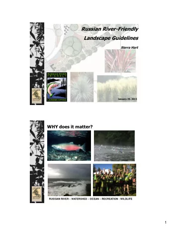 Russian River-Friendly  Landscape Guidelines  Sierra Hart  January 29, 2013  WHY does it matter?