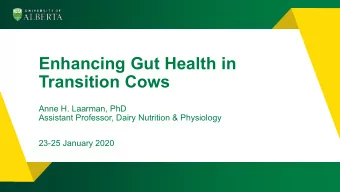 Enhancing Gut Health in  Transition Cows  Anne H. Laarman, PhD  Assistant Professor, Dairy