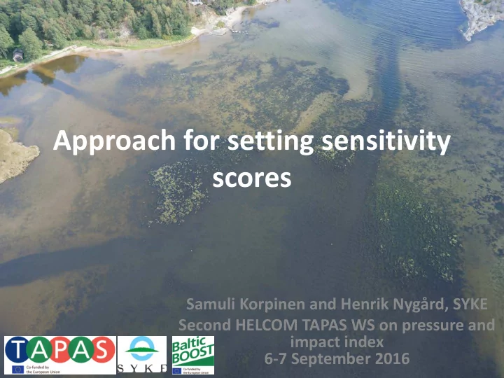 approach for setting sensitivity scores