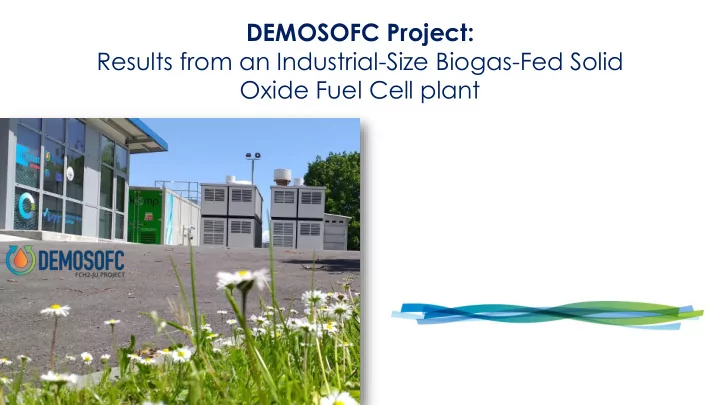 results from an industrial size biogas fed solid
