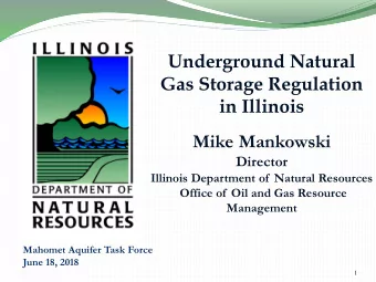 Underground Natural  Gas Storage Regulation  in Illinois  Mike Mankowski  Director  Illinois
