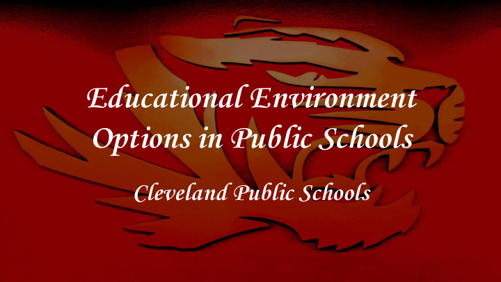 options in public schools