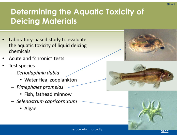 determining the aquatic toxicity of deicing materials