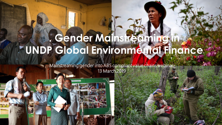 gender mainstreaming in undp global environmental finance