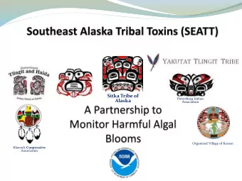 Sitka Tribe of  Petersburg Indian  Alaska  Association  Organized Village of Kassan Klawock