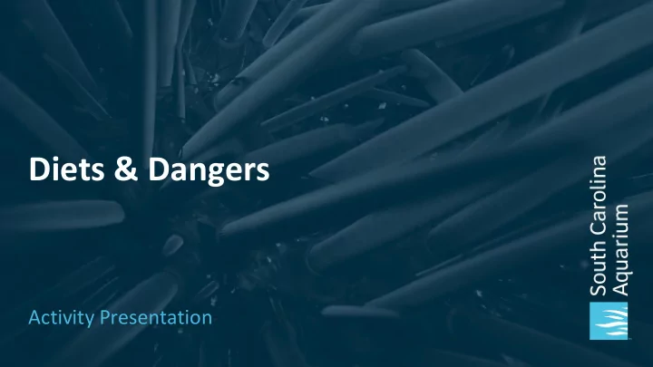 diets amp dangers