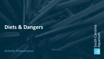 Diets &amp; Dangers  Activity Presentation  Marine Mammal Characteristics  Endothermic  &gt;