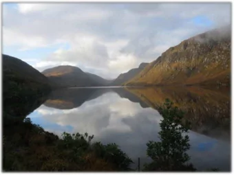 Health and Sustainability  Healthy Places  Healthy Communities  Healthy Planet  Ann Marie Crosse