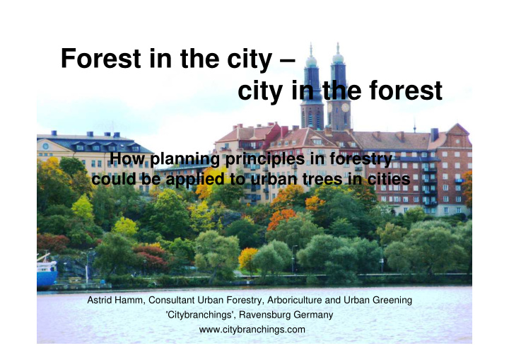 forest in the city city in the forest