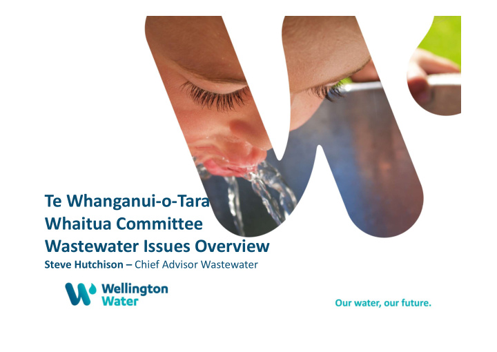 te whanganui o tara whaitua committee wastewater issues