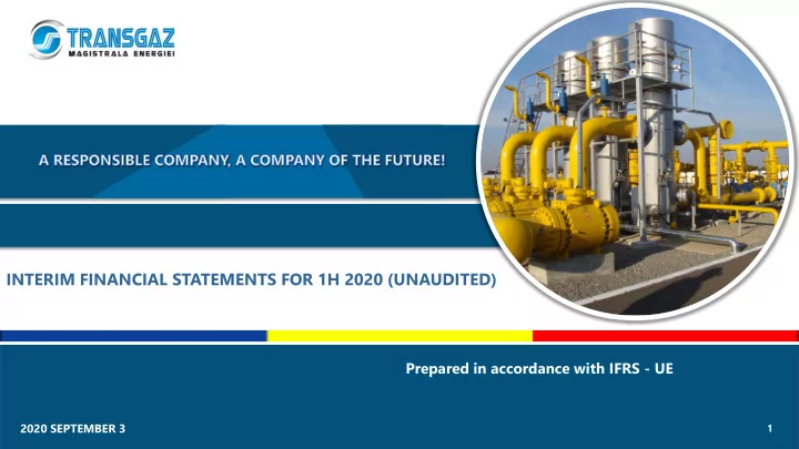 interim financial statements for 1h 2020 unaudited