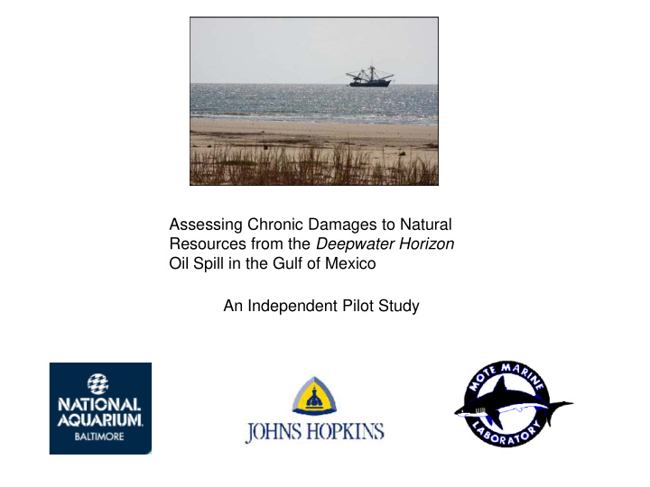 assessing chronic damages to natural resources from the