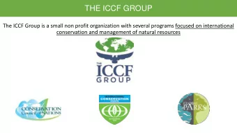 THE ICCF GROUP  The ICCF Group is a small non profit organization with several programs focused on