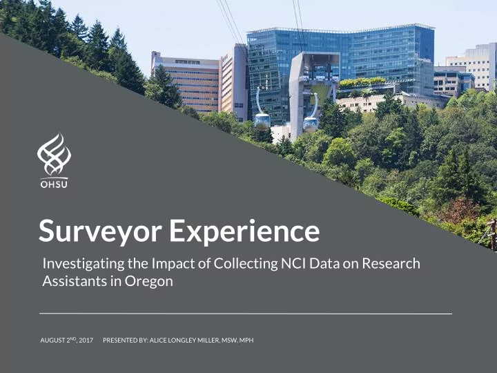 surveyor experience