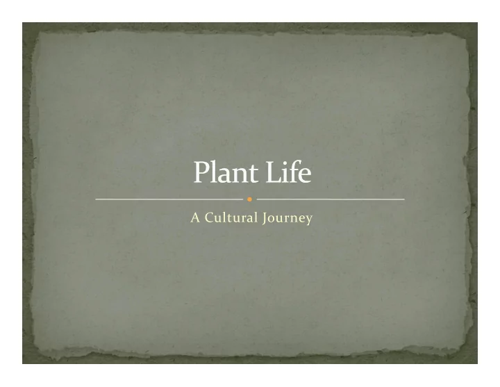 a cultural journey a cultural journey culture is the