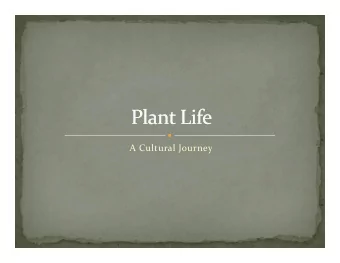 A Cultural Journey A Cultural Journey  Culture is the total way of life of a group of people  g