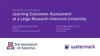 at a Large Research-Intensive University  Ingrid Novodvorsky, Ph.D.  Elaine Marchello, Ph.D.