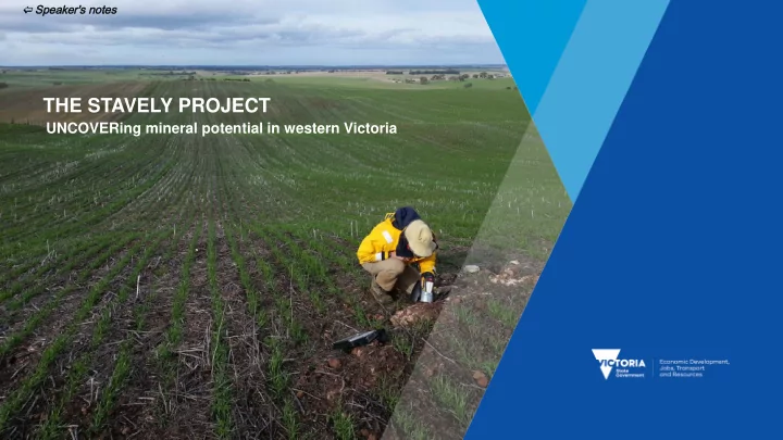 the stavely project