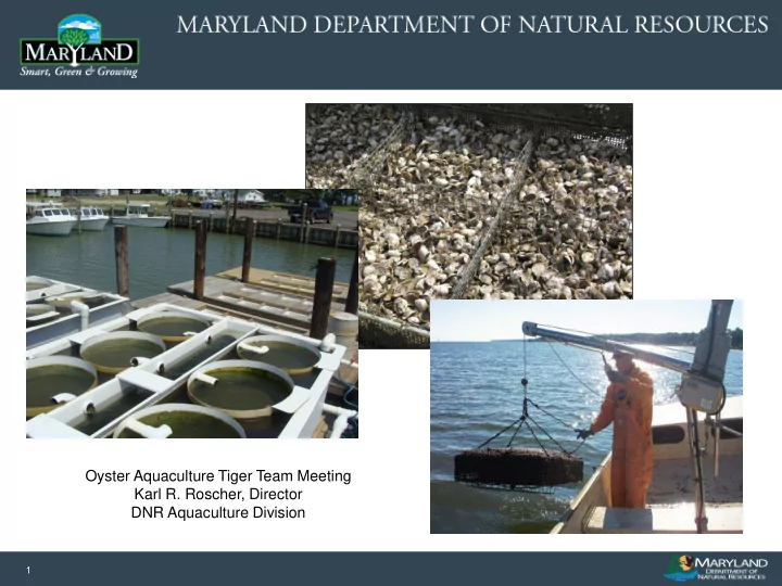 oyster aquaculture tiger team meeting