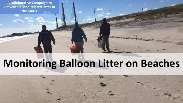 monitoring balloon litter on beaches locations