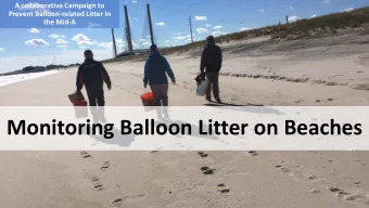 Monitoring Balloon Litter on Beaches  Locations  1 mile stretch  Ocean facing beach