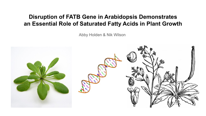 disruption of fatb gene in arabidopsis demonstrates