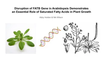 Disruption of FATB Gene in Arabidopsis Demonstrates an Essential Role of Saturated Fatty Acids in