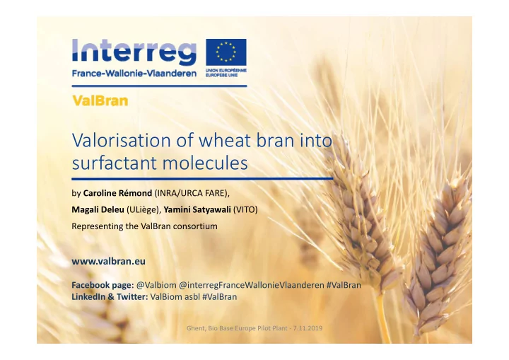 valorisation of wheat bran into surfactant molecules