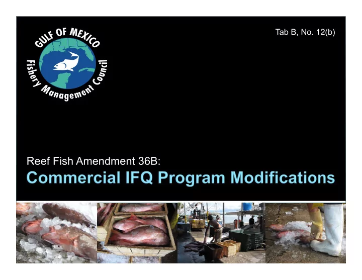 reef fish amendment 36b action 1 permit requirement