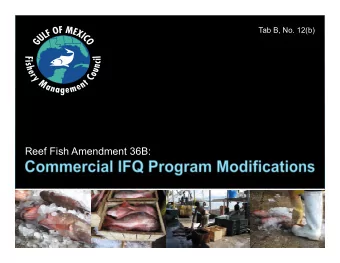 Reef Fish Amendment 36B:  Action 1  Permit Requirement    Require some or all shareholder