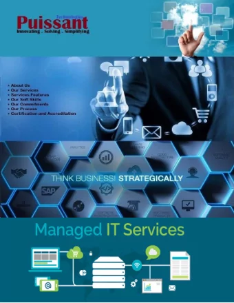 About Us Who we are? Our Strategies Our Skill Set Our team at Puissant Technologies is well versed