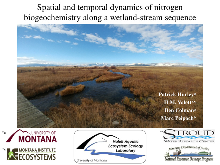 spatial and temporal dynamics of nitrogen biogeochemistry