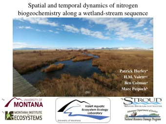 Spatial and temporal dynamics of nitrogen  biogeochemistry along a wetland-stream sequence Patrick