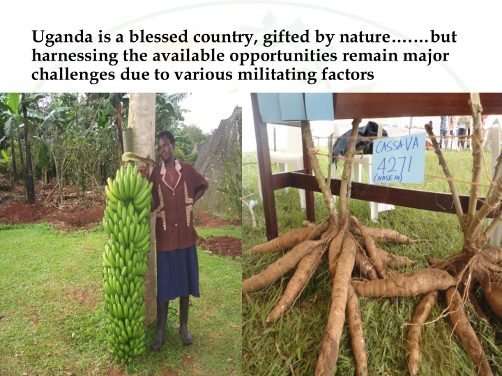 uganda is a blessed country gifted by nature but