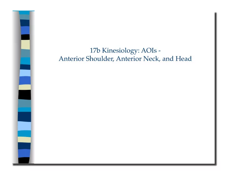 17b kinesiology aois anterior shoulder anterior neck and