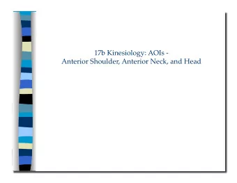 17b Kinesiology: AOIs -  Anterior Shoulder, Anterior Neck, and Head 17b Kinesiology: AOIs -