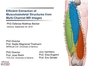 Multi-Channel MR Images  PhD Defense Matthias Becker  Geneva, September 20, 2016  PhD Director